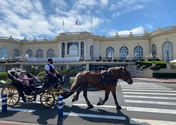 L'intemporel Yourhosthelper 公寓 多维尔